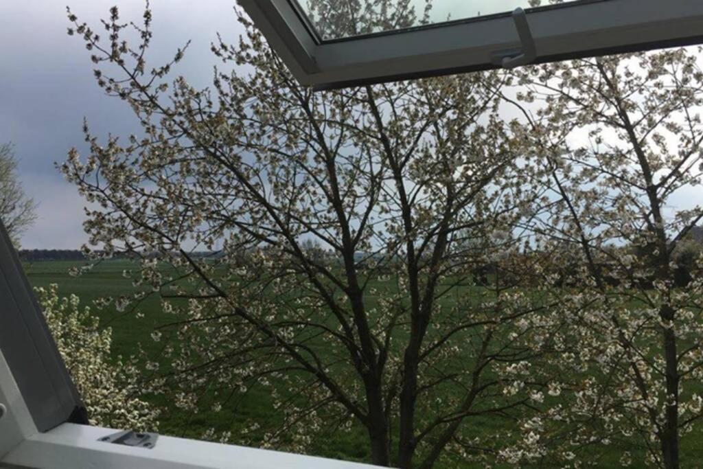 Landelijk Appartement In Een Mooi Recreatiegebied Abcoude Eksteriør billede