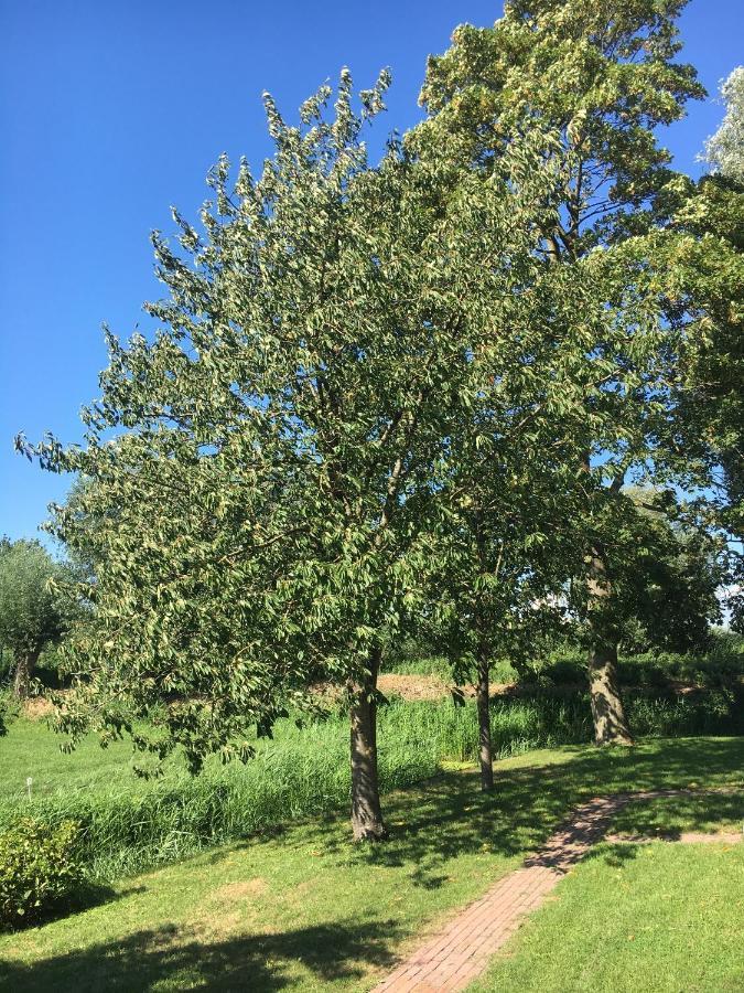 Landelijk Appartement In Een Mooi Recreatiegebied Abcoude Eksteriør billede